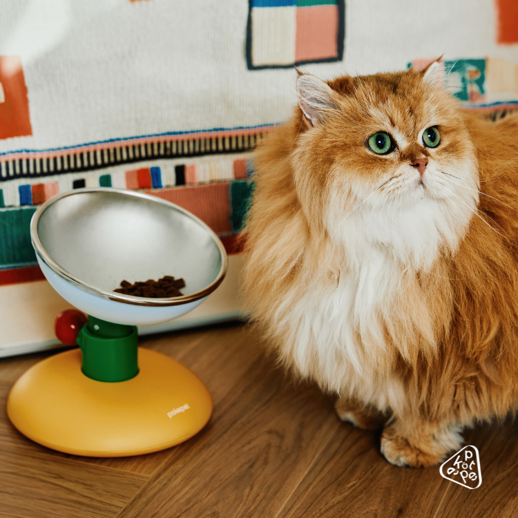 Adjustable Tilt Pet Bowl