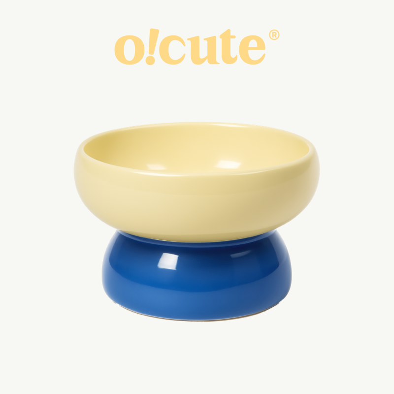 Pudding Ceramic Pet Bowl