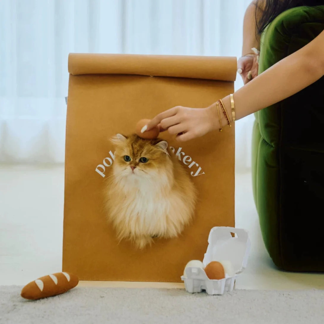 Pokepet imported from Germany washed kraft paper bag cat nest environmentally friendly, odorless, waterproof and scratch-resistant, cat shelter house