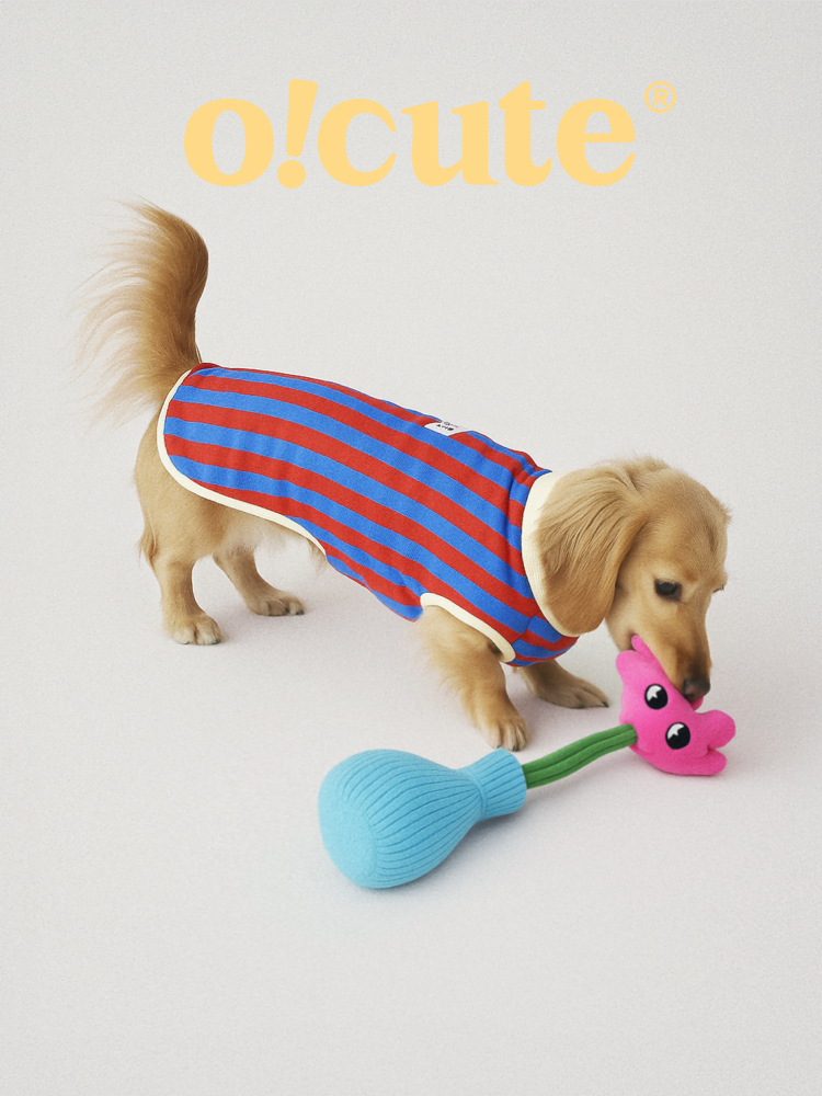 o!cute flowers, plush toys, dogs, small and medium-sized dogs, accompaniment, vocalization, tug-of-war, self-exaltation, and bite-resistant toys