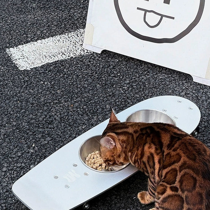 Skateboard Stainless Pet Bowl