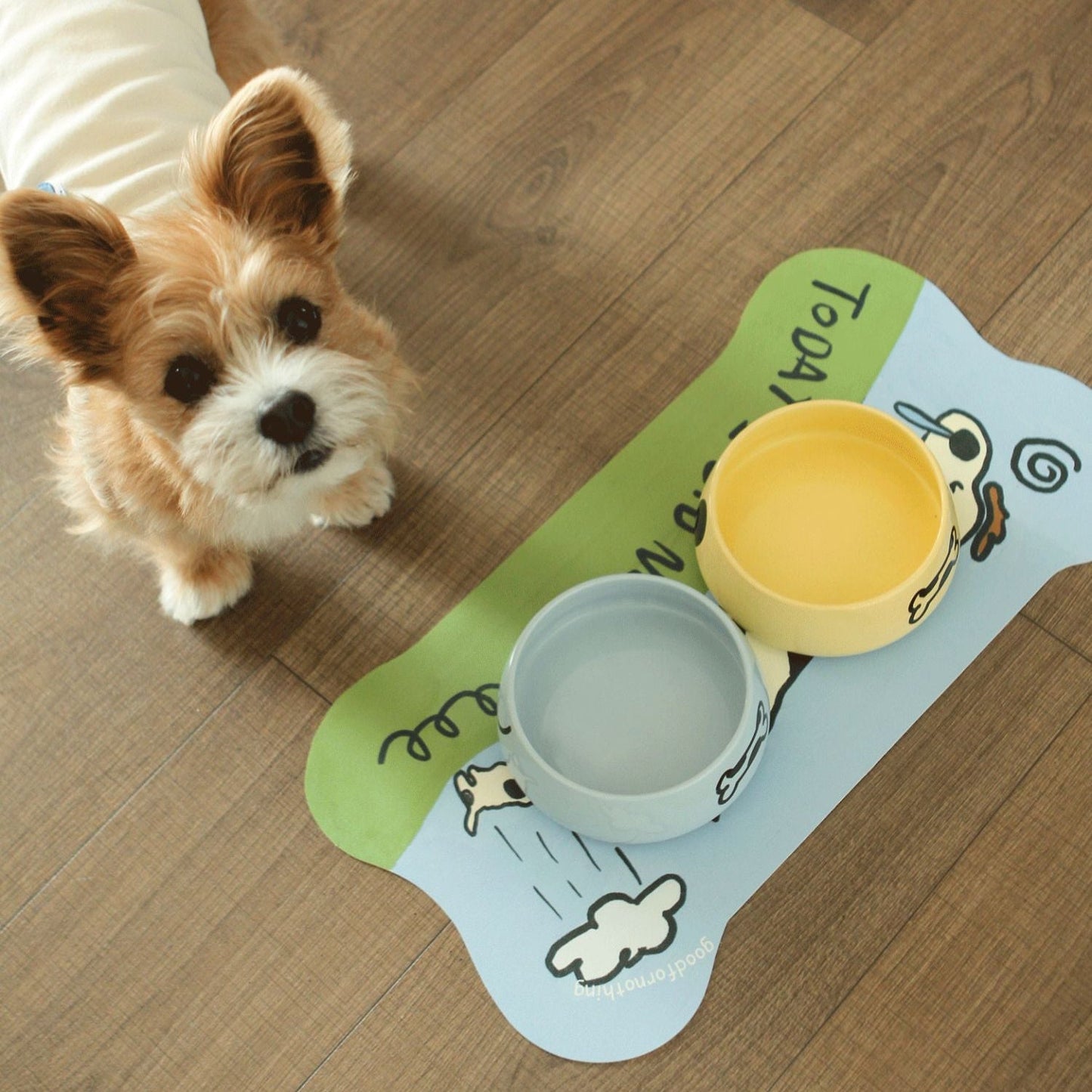 Ceramic Pet Bowl – Anti-Tip Food & Water Dish for Cats & Small Dogs