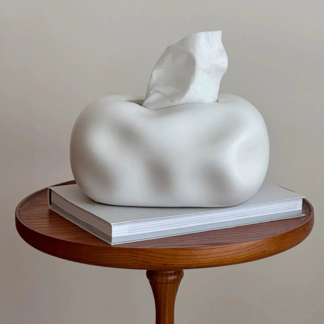 Modern Ceramic Tissue Box