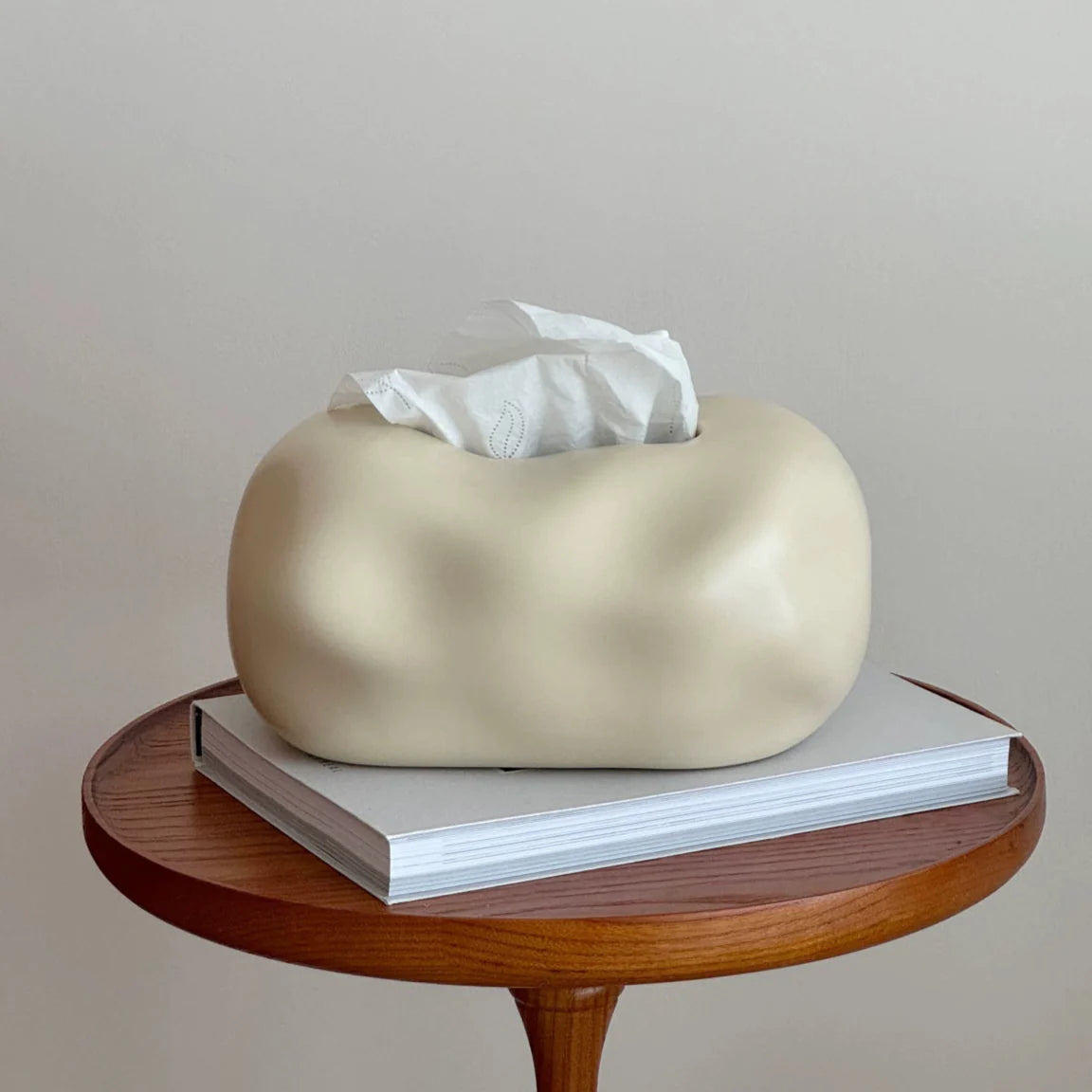 Modern Ceramic Tissue Box