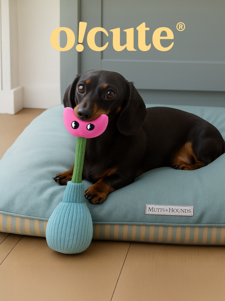 o!cute flowers, plush toys, dogs, small and medium-sized dogs, accompaniment, vocalization, tug-of-war, self-exaltation, and bite-resistant toys