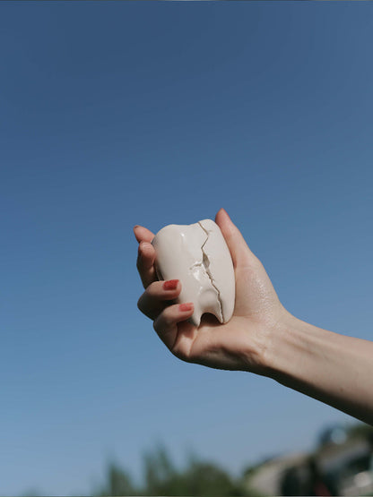 Broken Tooth AirPods Case