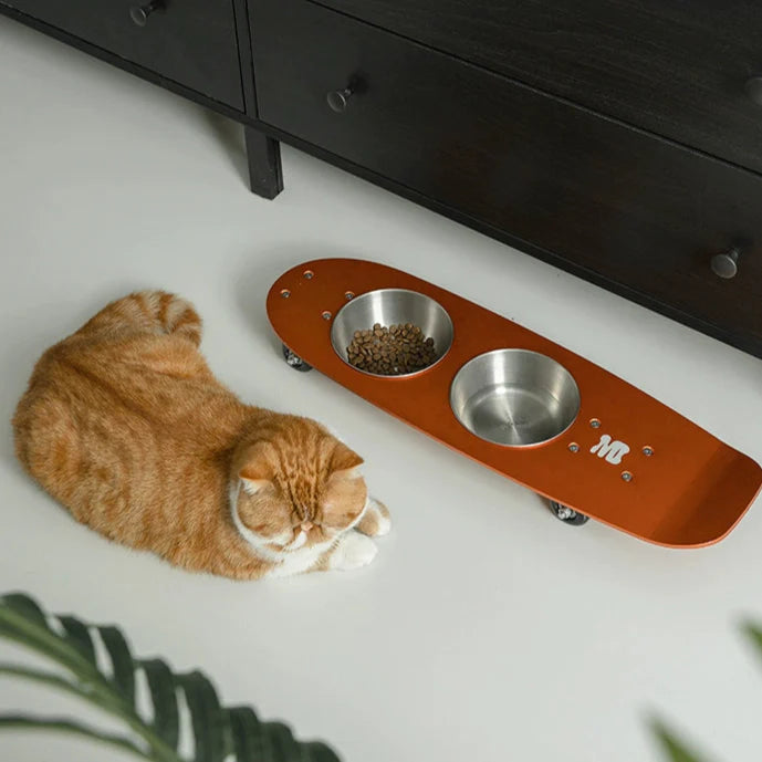 Skateboard Stainless Pet Bowl