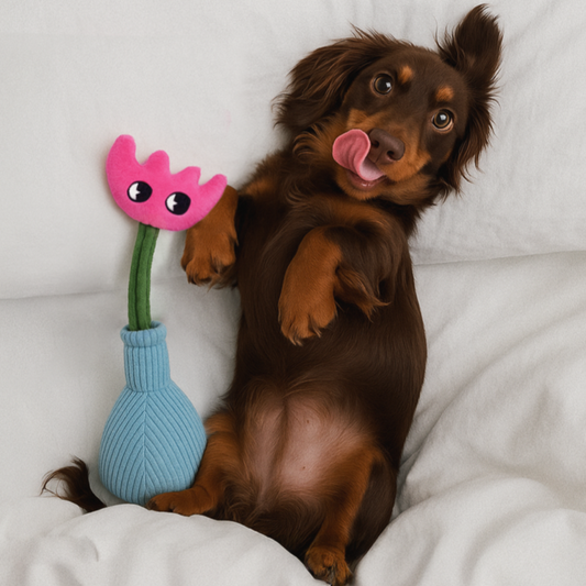 o!cute flowers, plush toys, dogs, small and medium-sized dogs, accompaniment, vocalization, tug-of-war, self-exaltation, and bite-resistant toys