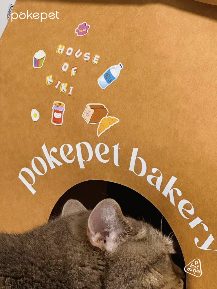Pokepet imported from Germany washed kraft paper bag cat nest environmentally friendly, odorless, waterproof and scratch-resistant, cat shelter house