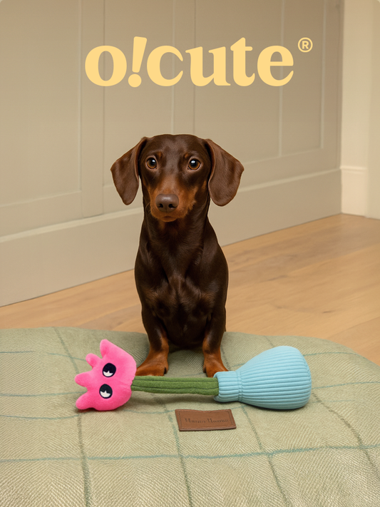 o!cute flowers, plush toys, dogs, small and medium-sized dogs, accompaniment, vocalization, tug-of-war, self-exaltation, and bite-resistant toys