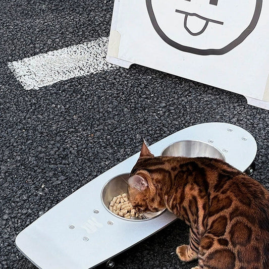 Skateboard Stainless Pet Bowl