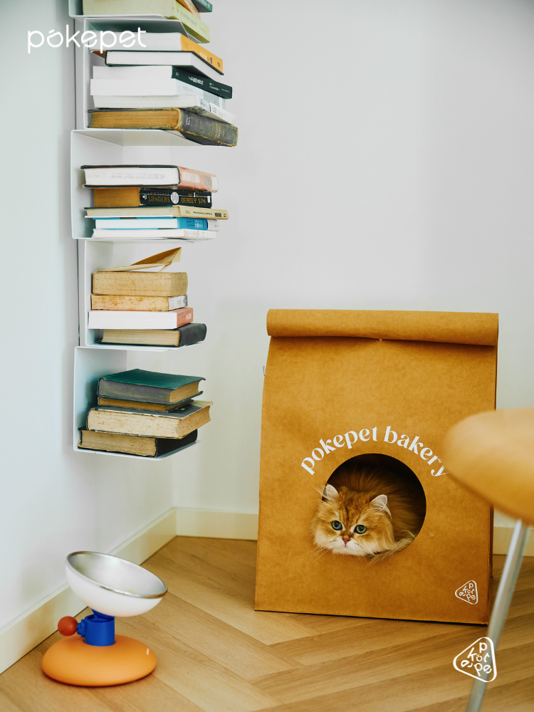 Pokepet imported from Germany washed kraft paper bag cat nest environmentally friendly, odorless, waterproof and scratch-resistant, cat shelter house