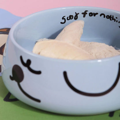 Ceramic Pet Bowl – Anti-Tip Food & Water Dish for Cats & Small Dogs
