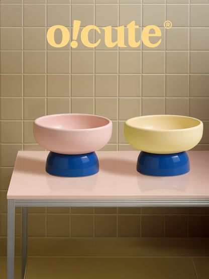Pudding Ceramic Pet Bowl