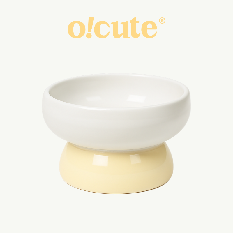 Pudding Ceramic Pet Bowl