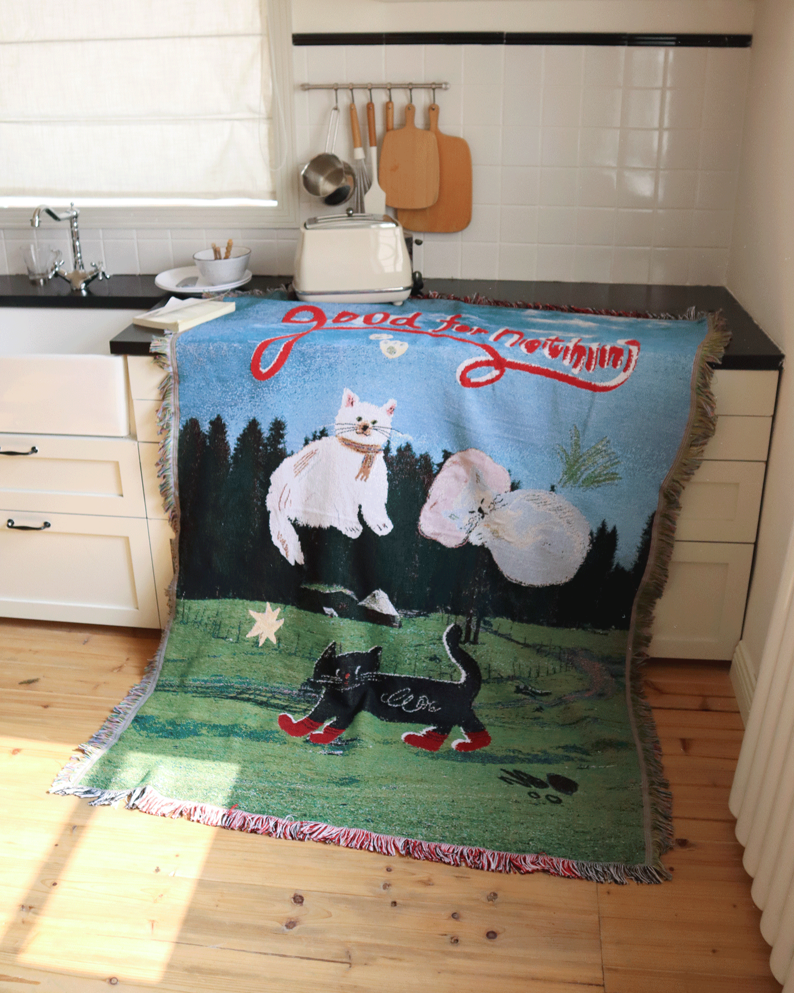 Blanket used as wall hanging decor with cat print
