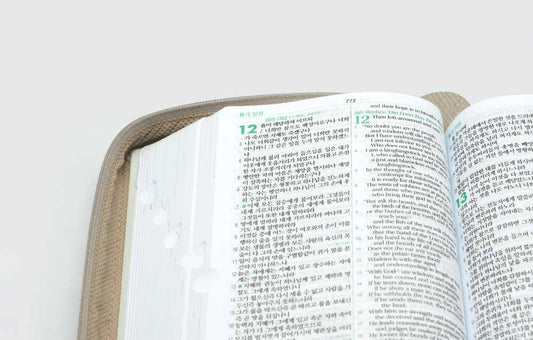 ESV Korean-English Study Bible (Compact Size, Beige, Zipper Cover)
