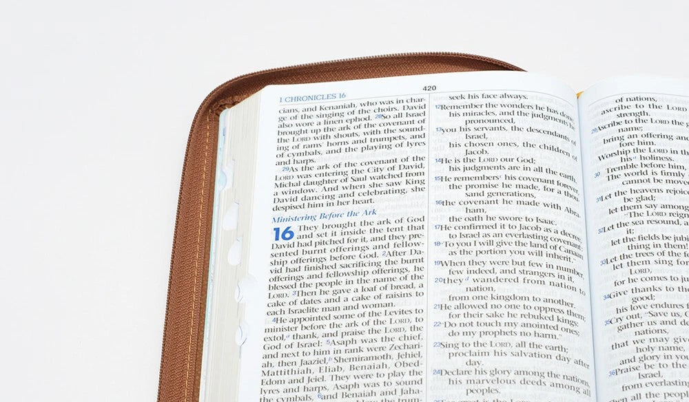 NIV English Bible | Large Zipper PU Cover | Brown | Single Volume