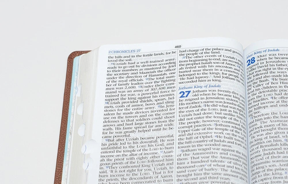 NIV English Bible | Large Print Hardcover | Dark Brown PU | Single Volume