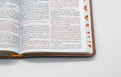 NIV English Bible | Large Print Hardcover | Dark Brown PU | Single Volume